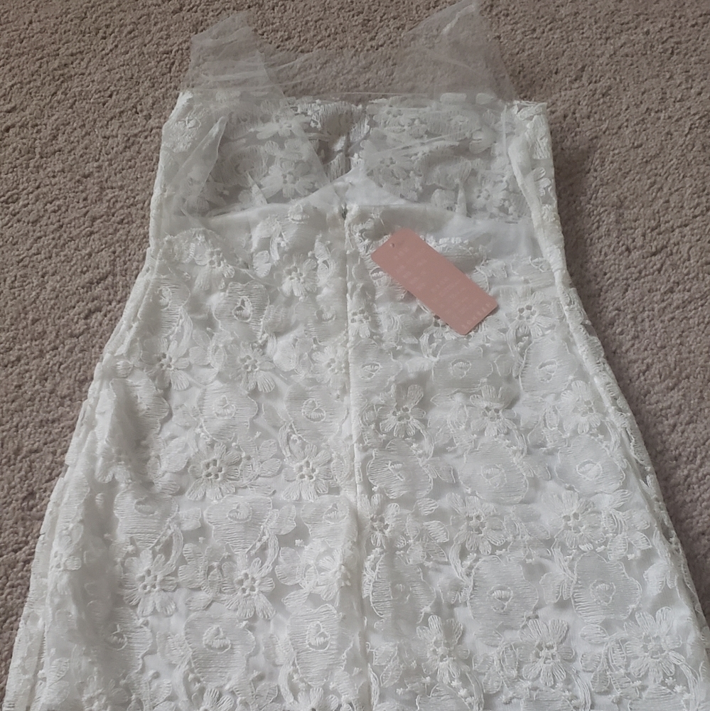 Delicately feminine lace & mesh fitted mini dress semi sheer - Picture 7 of 8